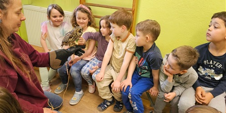 Powiększ grafikę: warsztaty-spojrz-sowie-w-oczy-i-poznaj-jej-zycie-609605.jpg