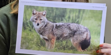 Powiększ grafikę: Trening Umiejętności Społecznych